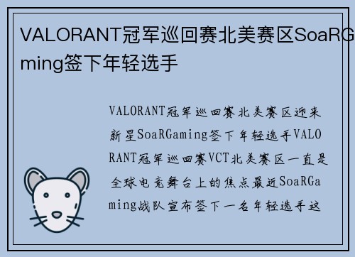 VALORANT冠军巡回赛北美赛区SoaRGaming签下年轻选手